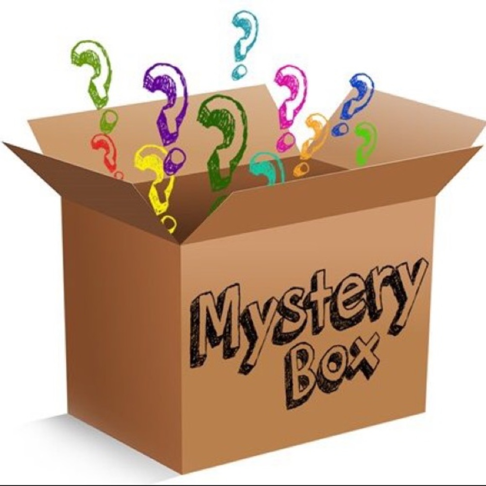 Mystery box of size medium clothing.  BRAND NAMES